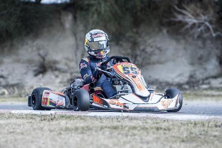 Carlos Sainz - Fitness-Training - Formel 1 - 2017