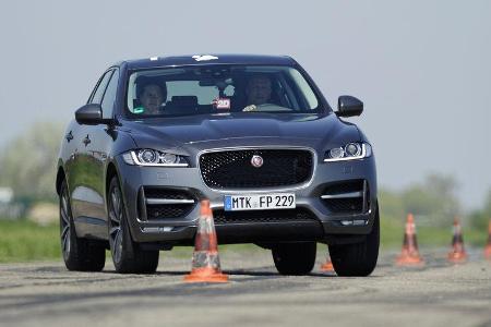 Jaguar F-Pace 30d AWD, Frontansicht, Slalom