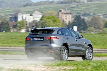 Jaguar F-Pace 30d AWD, Heckansicht