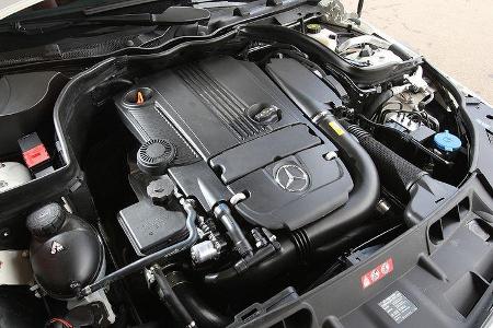 Der 1.800er verbindet schwungvolles Temperament mit guter Laufkultur.