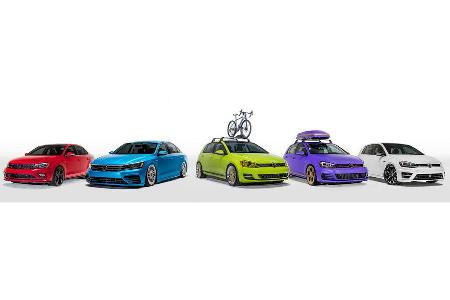 VW Enthusiast Vehicles