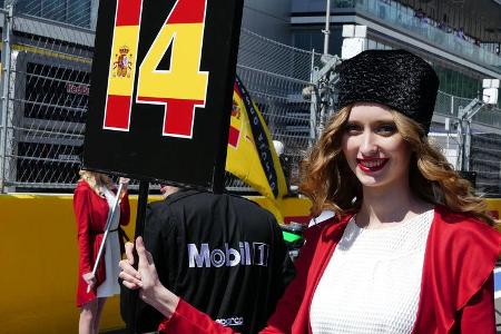 Grid Girls - GP Russland 2016 - Sochi