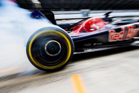 Toro Rosso - GP Russland 2016