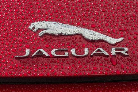 Jaguar F-Type 4x4, ams2015, Logo