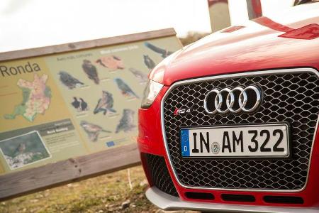 Audi RS 4 Avant, Kühlergrill
