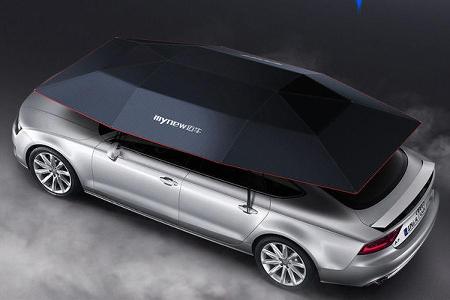 Mynew Car Umbrella