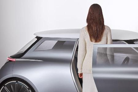 Mini Vision Next 100