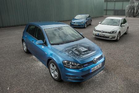 VW Golf 1.0 TSI Bluemotion, 1.2 TSI, 1.6 TDI, Frontansicht