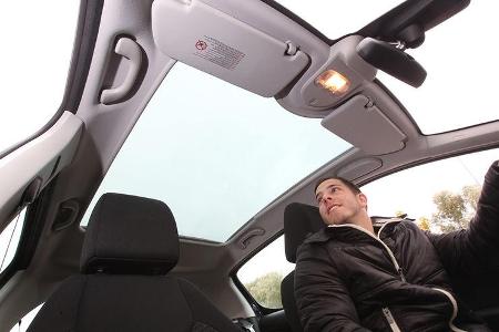 Peugeot 308, Panoramaglasdach