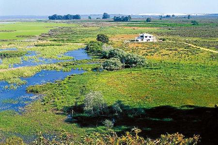 Nationalpark Coto de Doñana