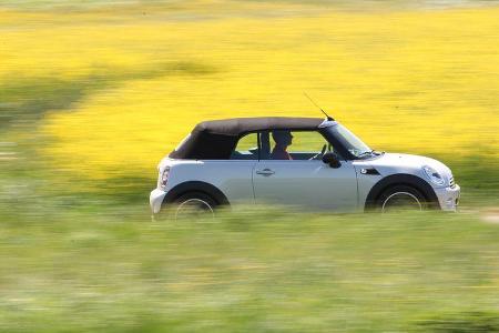 Mini Cooper Cabrio, Seitenansicht, Verdeck zu, Wiese