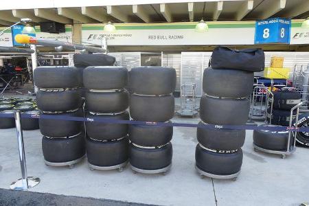 Red Bull - GP Brasilien - Sao Paulo - Interlagos - Donnerstag - 10.11.2016