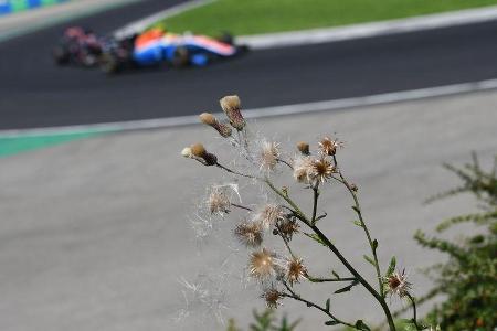 Impressionen - Formel 1 - GP Ungarn - 24. Juli 2016