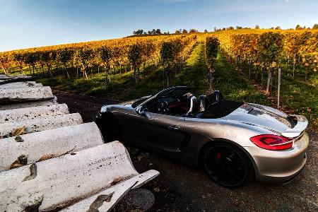 Techart-Porsche Boxster S Tuning