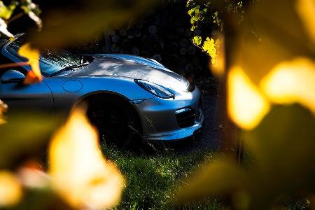 Techart-Porsche Boxster S Tuning