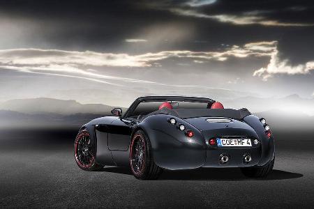 Der MF4 ist das jüngste Pferd im Wiesmann-Stall.