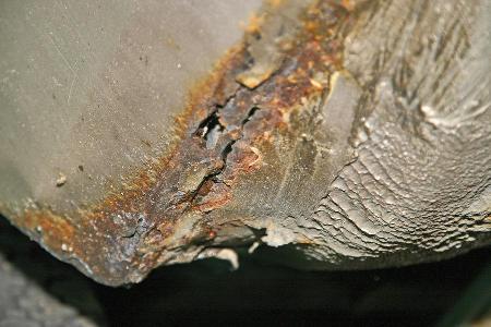 Rost