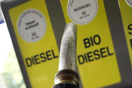 10. Bio-Diesel-Fahrer: Zum Glück heute eine ausgestorbene Gattung Treibstoff, der beim Verbrennen immer ein wenig nach altem...
