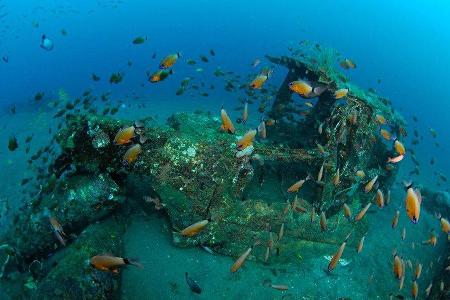 Autowracks unter Wasser