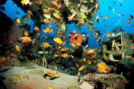 Autowracks unter Wasser