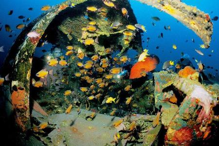 Autowracks unter Wasser