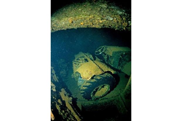 Autowrack unter Wasser, Fische