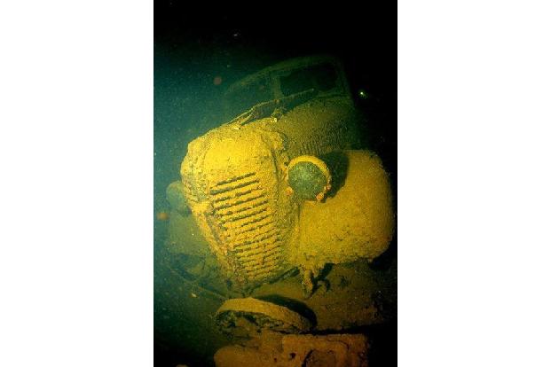 Autowrack unter Wasser, Fische