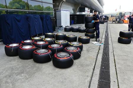 Toro Rosso - GP China - Shanghai - Donnerstag - 14.4.2016
