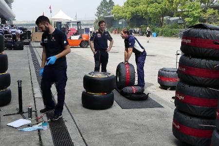 Toro Rosso - GP China - Shanghai - Donnerstag - 14.4.2016