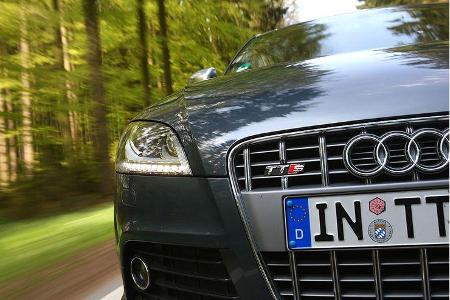 Bei 250 km/h regelt auch der TTS elektronisch ab.
