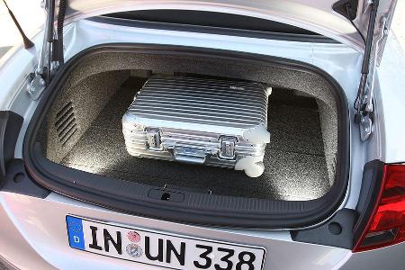 Kleines Volumen (250 Liter), aber glattflächig und einfach beladbar - optional ist die Durchlade.