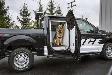 Ford F-150 Special Service Vehicle Polizei-Pickup