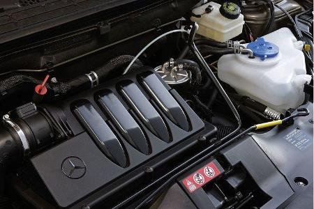 Drei Motorvarianten lassen sich mit dem spritsparenden Blue Efficiency-Paket ordern.