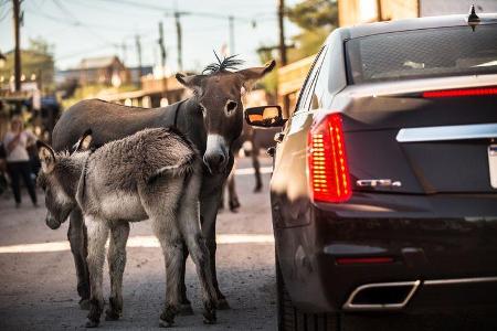 Cadillac CTS, Esel