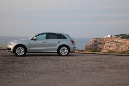 Audi Q5 Hybrid, Seitenansicht, Strand