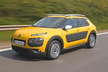 Citron C4 Cactus