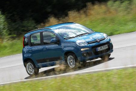 Fiat Panda 1.2 8V Lounge, Frontansicht