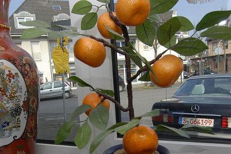 Blick auf den Benz aus dem Restaurant Thai Dragon in Troisdorf.