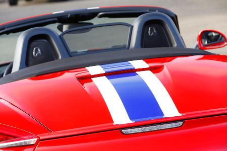 Wendland-Porsche Boxster S, Heckansicht, Kopfsttzen