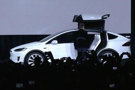 Tesla Model X Adlertüren