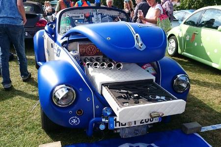 Beetle Sunshinetour