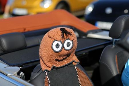Beetle Sunshinetour