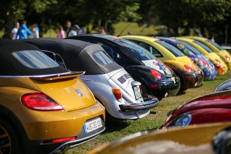 Beetle Sunshinetour