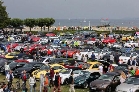Beetle Sunshinetour