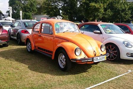 Beetle Sunshinetour