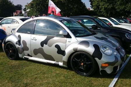 Beetle Sunshinetour