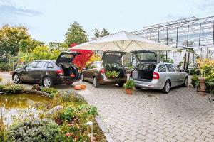 Chevrolet Cruze, Kia Ceed, Skoda Octavia im Fahrbericht