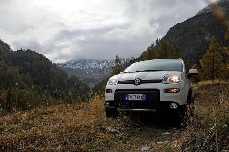 Fiat Panda 1.3 16V Multijet 4X4, Frontansicht