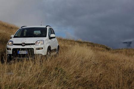 Fiat Panda 1.3 16V Multijet 4X4, Frontansicht
