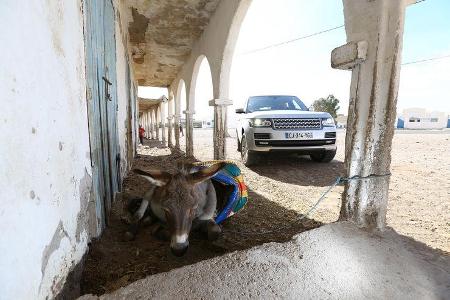 Range Rover, Frontansicht